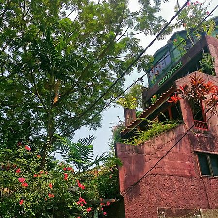 Rainforest Bed & Breakfast กัวลาลัมเปอร์ ภายนอก รูปภาพ