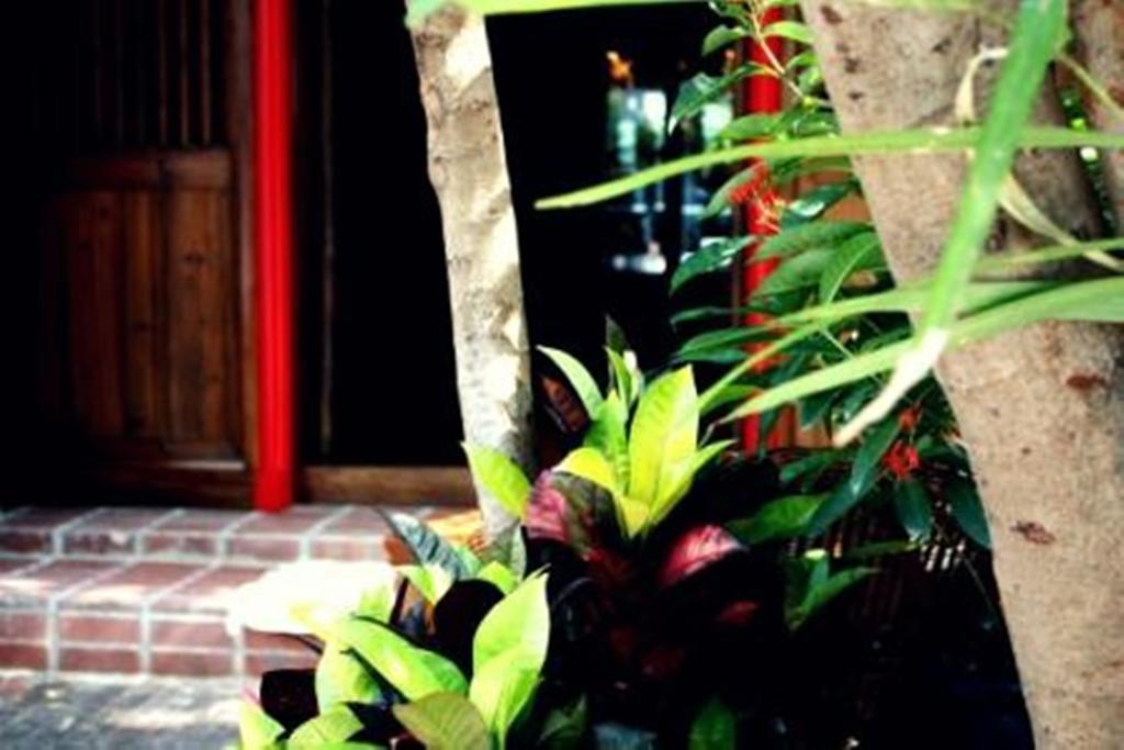 Rainforest Bed & Breakfast กัวลาลัมเปอร์ ภายนอก รูปภาพ