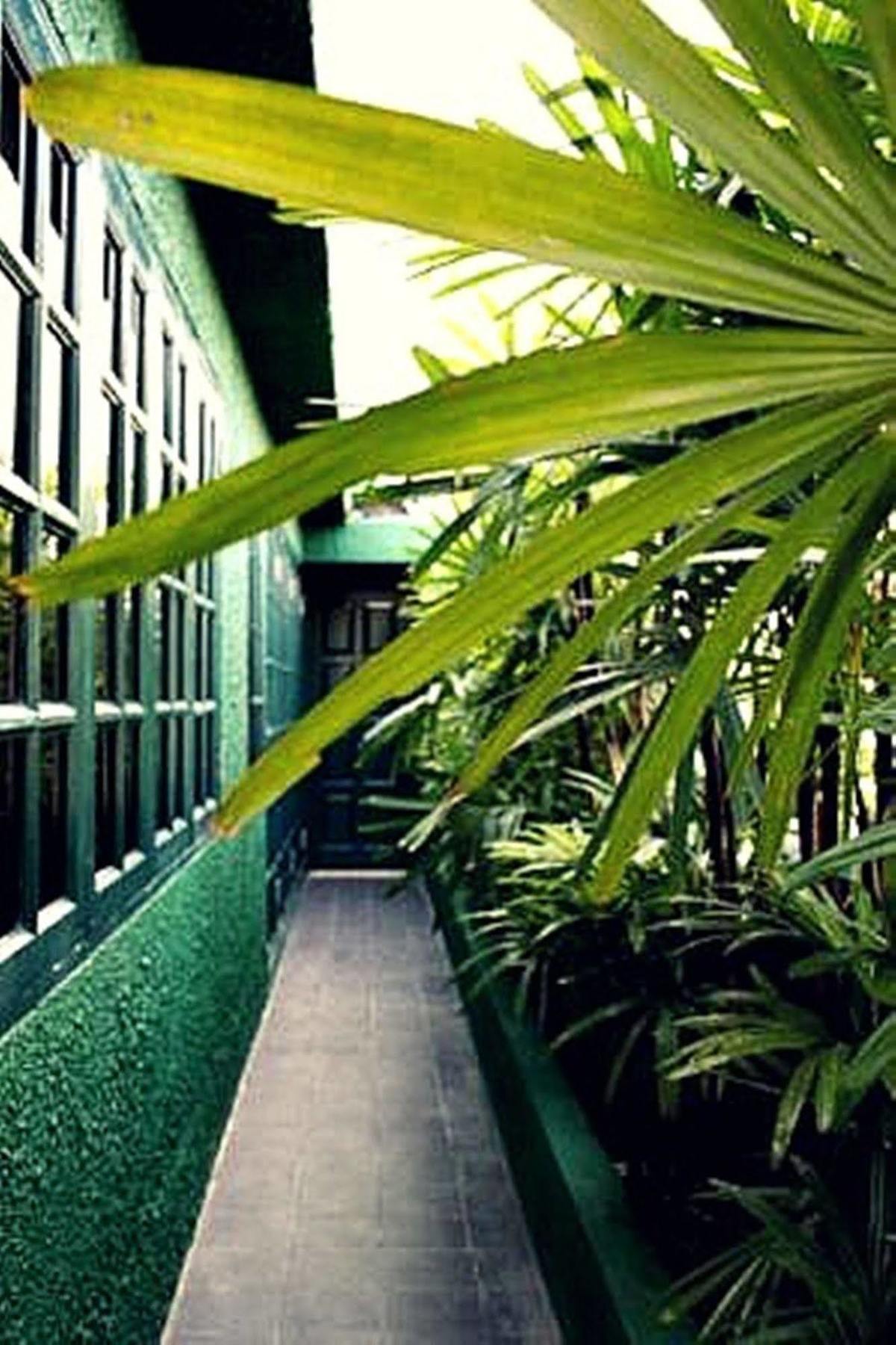 Rainforest Bed & Breakfast กัวลาลัมเปอร์ ภายนอก รูปภาพ